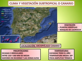 -- PLANTAS XERÓFILAS 
-- BOSQUES DE LAURISILVA 
LOCALIZACIÓN: ARCHIPIÉLAGO CANARIO 
PRECIPITACIONES 
ESCASAS E IRREGULARES 
ENTRE 150 Y 300 MM DE MEDIA 
MAYORES EN INVIERNO Y LAS ZONAS ALTAS 
VEGETACIÓN 
TEMPERATURAS 
ELEVADAS TODO EL AÑO 
TEMPERATURA MEDIA: 20º 
POCA AMPLITUD TÉRMICA 
 
