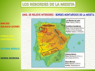 MACIZO 
GALAICO-LEONÉS 
CORDILLERA 
CANTÁBRICA 
SISTEMA IBÉRICO 
SIERRA MORENA 
 