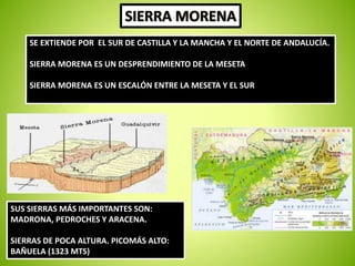 SE EXTIENDE POR EL SUR DE CASTILLA Y LA MANCHA Y EL NORTE DE ANDALUCÍA. 
SIERRA MORENA ES UN DESPRENDIMIENTO DE LA MESETA 
SIERRA MORENA ES UN ESCALÓN ENTRE LA MESETA Y EL SUR 
SUS SIERRAS MÁS IMPORTANTES SON: 
MADRONA, PEDROCHES Y ARACENA. 
SIERRAS DE POCA ALTURA. PICOMÁS ALTO: 
BAÑUELA (1323 MTS) 
 