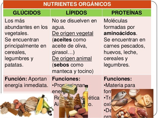 Tema 2. La alimentación humana