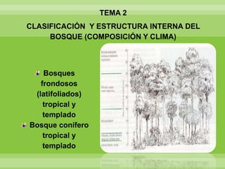 TEMA 2
CLASIFICACIÓN Y ESTRUCTURA INTERNA DEL
BOSQUE (COMPOSICIÓN Y CLIMA)
Bosques
frondosos
(latifoliados)
tropical y
templado
Bosque conífero
tropical y
templado
 