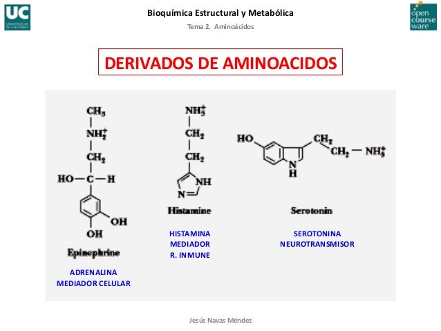 Tema 2. aminoacidos