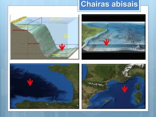 Chairas abisais
 