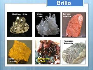 Brillo
Metálico: pirita Vítreo:
cuarzo
Terroso:
Olixisto
Mate:
Limonita
Adamantino:
Jarosita
Nacarado:
Moscovita
 