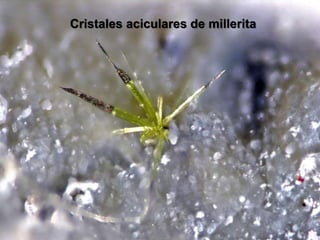 Cristales aciculares de millerita
 