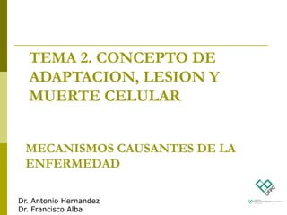 MECANISMOS CAUSANTES DE LA
ENFERMEDAD
TEMA 2. CONCEPTO DE
ADAPTACION, LESION Y
MUERTE CELULAR
Dr. Antonio Hernandez
Dr. Francisco Alba
 
