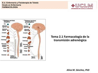 Tema 2.1 Farmacología de la
transmisión adrenérgica
E.U. Enfermería y Fisioterapia de Toledo
Grado en Enfermería
FARMACOLOGÍA
Alina M. Sánchez, PhD
 