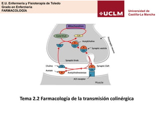 Tema 2.2 Farmacología de la transmisión colinérgica
E.U. Enfermería y Fisioterapia de Toledo
Grado en Enfermería
FARMACOLOGÍA
 