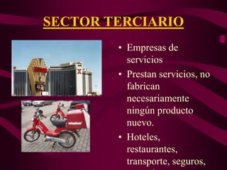 SECTOR TERCIARIO
• Empresas de
servicios
• Prestan servicios, no
fabrican
necesariamente
ningún producto
nuevo.
• Hoteles,
restaurantes,
transporte, seguros,
 
