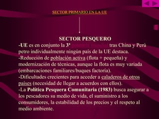 SECTOR PRIMARIO EN LA UE
SECTOR PESQUERO
-UE es en conjunto la 3ª potencia mundial tras China y Perú
petro individualmente ningún país de la UE destaca.
-Reducción de población activa (flota + pequeña) y
modernización de técnicas, aunque la flota es muy variada
(embarcaciones familiares/buques factoría).
-Dificultades crecientes para acceder a caladeros de otros
países (necesidad de llegar a acuerdos con ellos).
-La Política Pesquera Comunitaria (1983) busca asegurar a
los pescadores su medio de vida, el suministro a los
consumidores, la estabilidad de los precios y el respeto al
medio ambiente.
 
