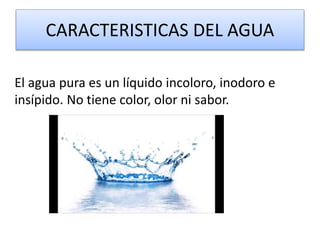 CARACTERISTICAS DEL AGUA
El agua pura es un líquido incoloro, inodoro e
insípido. No tiene color, olor ni sabor.
 
