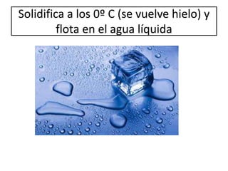 Solidifica a los 0º C (se vuelve hielo) y
flota en el agua líquida
 