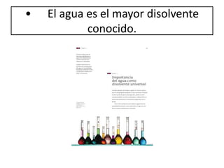 • El agua es el mayor disolvente
conocido.
 