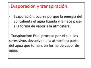 • Evaporación y transpiración:
- Evaporación: ocurre porque la energía del
Sol calienta el agua líquida y la hace pasar
a la forma de vapor a la atmosfera.
- Traspiración: Es el proceso por el cual los
seres vivos devuelven a la atmósfera parte
del agua que toman, en forma de vapor de
agua.
 