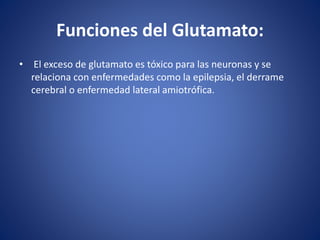 • El exceso de glutamato es tóxico para las neuronas y se
relaciona con enfermedades como la epilepsia, el derrame
cerebral o enfermedad lateral amiotrófica.
Funciones del Glutamato:
 