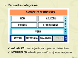 •  Requadre categories
ü  VARIABLES: nom, adjectiu, verb, pronom, determinant
ü  INVARIABLES: adverbi, preposició, conjunció, interjecció
 