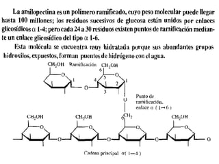 Terciaria.
Es la disposición tridimencional de las cadenas polipeptidicas
estabilizadas por interacciones débiles y enlace...