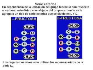 En dependencia de la ubicación del grupo hidroxilo con respecto
al carbono asimétrico mas alejado del grupo carbonilo se l...