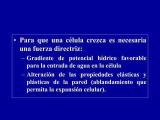 • Para que una célula crezca es necesaria
una fuerza directriz:
– Gradiente de potencial hídrico favorable
para la entrada de agua en la célula
– Alteración de las propiedades elásticas y
plásticas de la pared (ablandamiento que
permita la expansión celular).
 