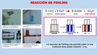 REACCIÓN DE FEHLING
La reacción de Fehling nos permite saber si una
molécula tiene poder reductor o no.
 