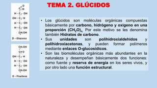 • Los glúcidos son moléculas orgánicas compuestas
básicamente por carbono, hidrógeno y oxigeno en una
proporción (CH2O)n. Por este motivo se les denomina
también Hidratos de carbono.
• Sus unidades son polihidroxialdehidos y
polihidroxiacetonas, y pueden formar polímeros
mediante enlaces O-glucosídicos.
• Son las biomoléculas orgánicas más abundantes en la
naturaleza y desempeñan básicamente dos funciones:
como fuente y reserva de energía en los seres vivos, y
por otro lado una función estructural.
TEMA 2. GLÚCIDOS
 
