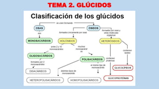TEMA 2. GLÚCIDOS
 