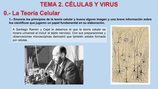 1.- Enuncia los principios de la teoría celular y busca alguna imagen y una breve información sobre
los científicos que jugaron un papel fundamental en su elaboración.
A Santiago Ramón y Cajal le debemos el que la teoría celular se
hiciera universal al incluir al tejido nervioso. Con sus preparaciones y
observaciones microscópicas demostró que también estaba formada
por células.
 
