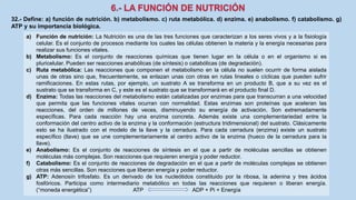 32.- Define: a) función de nutrición. b) metabolismo. c) ruta metabólica. d) enzima. e) anabolismo. f) catabolismo. g)
ATP y su importancia biológica.
a) Función de nutrición: La Nutrición es una de las tres funciones que caracterizan a los seres vivos y a la fisiología
celular. Es el conjunto de procesos mediante los cuales las células obtienen la materia y la energía necesarias para
realizar sus funciones vitales.
b) Metabolismo: Es el conjunto de reacciones químicas que tienen lugar en la célula o en el organismo si es
pluricelular. Pueden ser reacciones anabólicas (de síntesis) o catabólicas (de degradación).
c) Ruta metabólica: Las reacciones que componen el metabolismo en la célula no suelen ocurrir de forma aislada
unas de otras sino que, frecuentemente, se enlazan unas con otras en rutas lineales o cíclicas que pueden sufrir
ramificaciones. En estas rutas, por ejemplo, un sustrato A se transforma en un producto B, que a su vez es el
sustrato que se transforma en C, y este es el sustrato que se transformará en el producto final D.
d) Enzima: Todas las reacciones del metabolismo están catalizadas por enzimas para que transcurran a una velocidad
que permita que las funciones vitales ocurran con normalidad. Estas enzimas son proteínas que aceleran las
reacciones, del orden de millones de veces, disminuyendo su energía de activación. Son extremadamente
específicas. Para cada reacción hay una enzima concreta. Además existe una complementariedad entre la
conformación del centro activo de la enzima y la conformación (estructura tridimensional) del sustrato. Clásicamente
esto se ha ilustrado con el modelo de la llave y la cerradura. Para cada cerradura (enzima) existe un sustrato
específico (llave) que se une complementariamente al centro activo de la enzima (hueco de la cerradura para la
llave).
e) Anabolismo: Es el conjunto de reacciones de síntesis en el que a partir de moléculas sencillas se obtienen
moléculas más complejas. Son reacciones que requieren energía y poder reductor.
f) Catabolismo: Es el conjunto de reacciones de degradación en el que a partir de moléculas complejas se obtienen
otras más sencillas. Son reacciones que liberan energía y poder reductor.
g) ATP: Adenosín trifosfato. Es un derivado de los nucleótidos constituido por la ribosa, la adenina y tres ácidos
fosfóricos. Participa como intermediario metabólico en todas las reacciones que requieren o liberan energía.
(“moneda energética”) ATP ADP + Pi + Energía
 