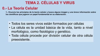 1.- Enuncia los principios de la teoría celular y busca alguna imagen y una breve información sobre
los científicos que jugaron un papel fundamental en su elaboración.
• Todos los seres vivos están formados por células
• La célula es la unidad básica de la vida, tanto a nivel
morfológico, como fisiológico y genético.
• Toda célula procede por división celular de otra célula
preexistente.
 