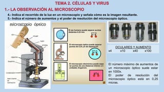 4.- Indica el recorrido de la luz en un microscopio y señala cómo es la imagen resultante.
5.- Indica el número de aumentos y el poder de resolución del microscopio óptico.
El número máximo de aumentos de
un microscopio óptico suele estar
en 1000x.
El poder de resolución del
microscopio óptico está en 0,25
micras.
OCULARES Y AUMENTO
x4 x10 x40 x100
 