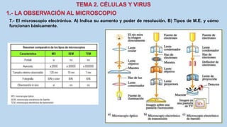 7.- El microscopio electrónico. A) Indica su aumento y poder de resolución. B) Tipos de M.E. y cómo
funcionan básicamente.
 