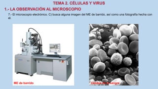 7.- El microscopio electrónico. C) busca alguna imagen del ME de barrido, así como una fotografía hecha con
él.
ME de barrido Células de la sangre
 