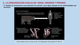 8.- Explica la composición que presentan los priones y pon algún ejemplo de las enfermedades que
provocan.
Enfermedad de las vacas locas: Encefalopatía Espongiforme Bovina
 