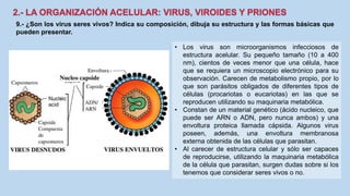 9.- ¿Son los virus seres vivos? Indica su composición, dibuja su estructura y las formas básicas que
pueden presentar.
• Los virus son microorganismos infecciosos de
estructura acelular. Su pequeño tamaño (10 a 400
nm), cientos de veces menor que una célula, hace
que se requiera un microscopio electrónico para su
observación. Carecen de metabolismo propio, por lo
que son parásitos obligados de diferentes tipos de
células (procariotas o eucariotas) en las que se
reproducen utilizando su maquinaria metabólica.
• Constan de un material genético (ácido nucleico, que
puede ser ARN o ADN, pero nunca ambos) y una
envoltura proteica llamada cápsida. Algunos virus
poseen, además, una envoltura membranosa
externa obtenida de las células que parasitan.
• Al carecer de estructura celular y sólo ser capaces
de reproducirse, utilizando la maquinaria metabólica
de la célula que parasitan, surgen dudas sobre si los
tenemos que considerar seres vivos o no.
 