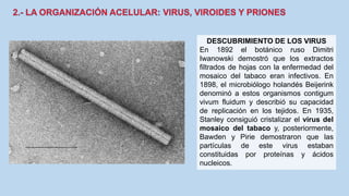 DESCUBRIMIENTO DE LOS VIRUS
En 1892 el botánico ruso Dimitri
Iwanowski demostró que los extractos
filtrados de hojas con la enfermedad del
mosaico del tabaco eran infectivos. En
1898, el microbiólogo holandés Beijerink
denominó a estos organismos contigum
vivum fluidum y describió su capacidad
de replicación en los tejidos. En 1935,
Stanley consiguió cristalizar el virus del
mosaico del tabaco y, posteriormente,
Bawden y Pirie demostraron que las
partículas de este virus estaban
constituidas por proteínas y ácidos
nucleicos.
 
