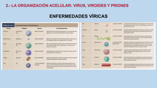 ENFERMEDADES VÍRICAS
 