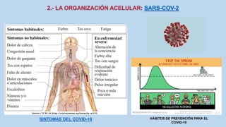 SINTOMAS DEL COVID-19 HÁBITOS DE PREVENCIÓN PARA EL
COVID-19
 