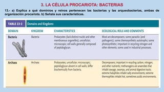 13.- a) Explica a qué dominios y reinos pertenecen las bacterias y las arqueobacterias, ambas de
organización procariota. b) Señala sus características.
 