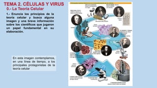 1.- Enuncia los principios de la
teoría celular y busca alguna
imagen y una breve información
sobre los científicos que jugaron
un papel fundamental en su
elaboración.
En esta imagen contemplamos,
en una línea de tiempo, a los
principales protagonistas de la
teoría celular
 