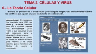 1.- Enuncia los principios de la teoría celular y busca alguna imagen y una breve información sobre
los científicos que jugaron un papel fundamental en su elaboración.
Antecedentes: El microscopio
fue inventado hacia 1595, por
Hans y Zacharias Janssen.
Pero fue el holandés Antonie
van Leeuwenhoek (1632-
1723) el que popularizó el uso
del instrumento para la
observación de seres vivos.
Robert Hooke fue el primero
en utilizar el término de célula
para referirse a la unidad
(celdilla) que se repetía en una
lámina de corcho al
microscopio.
 
