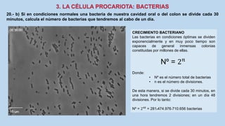 CRECIMIENTO BACTERIANO
Las bacterias en condiciones óptimas se dividen
exponencialmente y en muy poco tiempo son
capaces de general inmensas colonias
constituidas por millones de ellas.
Nº = 2 𝑛
Donde:
• Nº es el número total de bacterias
• n es el número de divisiones.
De esta manera, si se divide cada 30 minutos, en
una hora tendremos 2 divisiones; en un día 48
divisiones. Por lo tanto:
Nº = 248
= 2812474.9761710.656 bacterias
20.- b) Si en condiciones normales una bacteria de nuestra cavidad oral o del colon se divide cada 30
minutos, calcula el número de bacterias que tendremos al cabo de un día.
 