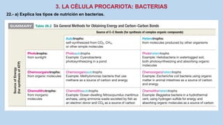 22.- a) Explica los tipos de nutrición en bacterias.
 