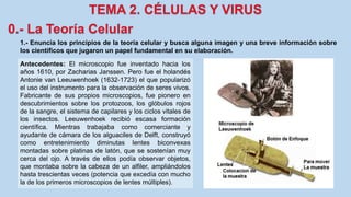 1.- Enuncia los principios de la teoría celular y busca alguna imagen y una breve información sobre
los científicos que jugaron un papel fundamental en su elaboración.
Antecedentes: El microscopio fue inventado hacia los
años 1610, por Zacharias Janssen. Pero fue el holandés
Antonie van Leeuwenhoek (1632-1723) el que popularizó
el uso del instrumento para la observación de seres vivos.
Fabricante de sus propios microscopios, fue pionero en
descubrimientos sobre los protozoos, los glóbulos rojos
de la sangre, el sistema de capilares y los ciclos vitales de
los insectos. Leeuwenhoek recibió escasa formación
científica. Mientras trabajaba como comerciante y
ayudante de cámara de los alguaciles de Delft, construyó
como entretenimiento diminutas lentes biconvexas
montadas sobre platinas de latón, que se sostenían muy
cerca del ojo. A través de ellos podía observar objetos,
que montaba sobre la cabeza de un alfiler, ampliándolos
hasta trescientas veces (potencia que excedía con mucho
la de los primeros microscopios de lentes múltiples).
 