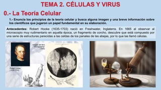 1.- Enuncia los principios de la teoría celular y busca alguna imagen y una breve información sobre
los científicos que jugaron un papel fundamental en su elaboración.
Antecedentes: Robert Hooke (1635-1703) nació en Freshwater, Inglaterra. En 1665 al observar al
microscopio muy rudimentario en aquella época, un fragmento de corcho, descubre que está compuesto por
una serie de estructuras parecidas a las celdas de los panales de las abejas, por lo que las llamó células.
 