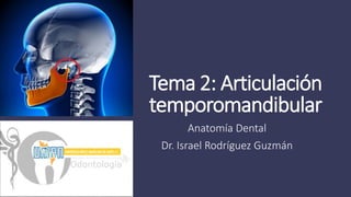Tema 2: Articulación
temporomandibular
Anatomía Dental
Dr. Israel Rodríguez Guzmán
 