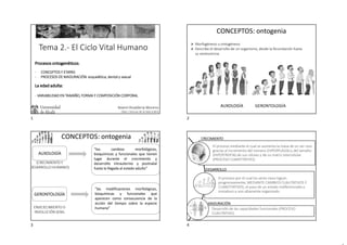 Tema 2.- El Ciclo Vital Humano
- CONCEPTOS Y ETAPAS
- PROCESOS DE MADURACIÓN: esquelética, dental y sexual
- VARIABILIDAD EN TAMAÑO, FORMA Y COMPOSICIÓN CORPORAL
Noemí Rivaldería Moreno
Dpto. Ciencias de la Vida (UAH)
CONCEPTOS: ontogenia
AUXOLOGÍA GERONTOLOGÍA
 Morfogénesis u ontogénesis
 Describe el desarrollo de un organismo, desde la fecundación hasta
su senescencia.
AUXOLOGÍA
ENVEJECIMIENTO O
INVOLUCIÓN SENIL
“los cambios morfológicos,
bioquímicos y funcionales que tienen
lugar durante el crecimiento y
desarrollo intrauterino y postnatal
hasta la llegada al estado adulto”
(CRECIMIENTO Y
DESARROLLO HUMANO)
GERONTOLOGÍA
“las modificaciones morfológicas,
bioquímicas y funcionales que
aparecen como consecuencia de la
acción del tiempo sobre la especie
humana”
CONCEPTOS: ontogenia
El proceso mediante el cual se aumenta la masa de un ser vivo
gracias al incremento del número (HIPERPLASIA) y del tamaño
(HIPERTROFIA) de sus células y de su matriz intercelular
(PROCESO CUANTITATIVO).
El proceso por el cual los seres vivos logran
progresivamente, MEDIANTE CAMBIOS CUALITATIVOS Y
CUANTITATIVOS, el paso de un estado indiferenciado o
inmaduro a uno altamente organizado.
Desarrollo de las capacidades funcionales (PROCESO
CUALITATIVO).
CRECIMIENTO
DESARROLLO
MADURACIÓN
1 2
3 4
 