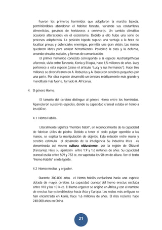 21
Fueron los primeros homínidos que adoptaron la marcha bípeda,
permitiéndoles abandonar el hábitat forestal, variando sus costumbres
alimenticias, pasando de herbívoros a omnívoros. Un cambio climático
ocasionó alteraciones en el ecosistema. Debido a ello hubo una serie de
procesos adaptativos. La posición bípeda supuso una ventaja a la hora de
localizar presas y potenciales enemigos, permitía una gran visión, Las manos
quedaron libres para utilizar herramientas. Posibilitó la caza y la defensa,
creando vínculos sociales, y formas de comunicación.
El primer homínido conocido corresponde a la especie Australopithecus
afarensis, vivió entre Tanzania, Kenia y Etiopía, hace 4,5 millones de años. Lucy
pertenece a esta especie.(Léase el artículo “Lucy y sus hermanos”). Hace tres
millones se diversificaron en A. Robustus y A. Bosei,con cerebros pequeños por
una parte. Por otra especie desarrolló un cerebro relativamente más grande y
mandíbula más fuerte, llamado A. Africanus.
4. El género Homo.
El tamaño del cerebro distingue al género Homo entre los homínidos.
Aparecieron sucesivas especies, donde su capacidad craneal estaba en torno a
los 600 cc.
4.1 Homo Hábilis.
Literalmente significa “hombre hábil”, en reconocimiento de la capacidad
de fabricar útiles de piedra. Debido a tener el dedo pulgar oponible a las
manos, se explica la manipulación de objetos. Esta relación entre mano y
cerebro estimuló el desarrollo de la inteligencia Su industria lítica es
denominada así mismo cultura olduvaiense, por la región de Olduvai
(Tanzania). Hace su aparición entre 1.9 y 1,6 millones de años. Su capacidad
craneal oscila entre 509 y 752 cc, no superaba los 90 cm de altura. Ver el texto
“Homo Hábilis” e inteligente.
4.2 Homo erectus y ergaster.
Durante 300.000 años el Homo hábilis evolucionó hacia una especie
dotada de mayor cerebro. La capacidad craneal del homo erectus oscilaba
entre 918 y los 1014 cc. El Homo ergaster se originó en África,y con el nombre
de erectus fue extendiéndose hacia Asia y Europa. Los restos más antiguos se
han encontrado en Kenia, hace 1,6 millones de años. El más reciente hace
240.000 años en China.
 