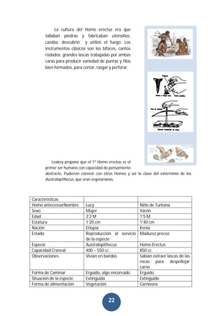 22
La cultura del Homo erectus era que
tallaban piedras y fabricaban utensilios,
cazaba, descubrió y utilizó el fuego. Los
instrumentos clásicos son los bifaces, cantos
rodados, grandes lascas trabajadas por ambas
caras para producir variedad de puntas y filos
bien formados, para cortar, rasgar y perforar.
Leakey propone que el 1º Homo erectus es el
primer ser humano con capacidad de pensamiento
abstracto. Pudieron convivir con otros Homos y ser la clave del exterminio de los
Australopithecus, que eran vegetarianos.
Características
Homo antecessorNombre Lucy Niño de Turkana
Sexo Mujer Varón
Edad 3’2 M 1’5 M
Estatura 1’20 cm 1’40 cm
Nación Etiopía Kenia
Estado Reproducción al servicio
de la especie
Madurez precoz
Especie Australopithecus Homo Erectus
Capacidad Craneal 400 – 550 cc. 850 cc.
Observaciones Vivían en bandas Sabían extraer lascas de las
rocas para despellejar
carne
Forma de Caminar Erguido, algo encorvado Erguido
Situación de la especie Extinguida Extinguido
Forma de alimentación Vegetación Carnívora
 
