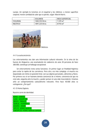 24
cuerpo. Un ejemplo lo tenemos en el esquimal y los nilóticos: a menor superficie
corporal, menor cantidad de calor que se pierde, según Marvin Harris.
VOLUMEN ÁREA SUPERFICIAL
ESQUIMAL 1840,592 litros 7,339
NILÓTICO 1897,225 litros 8,918
Nilóticos.
4.4.1 La autoconciencia.
Los enterramientos nos dan una información cultural relevante. En la sima de los
huesos de Atapuerca, una acumulación de cadáveres de unas 30 personas de hace
300.000, constituye un hallazgo excepcional.
Un enterramiento tenía varias funciones. En primer lugar un finalidad higiénica
para evitar la rapiña de los carroñeros. Pero otra, era más compleja: el muerto era
depositado con mimo en posición fetal, con sus objetos personales, alimentos y flores.
Por primera vez el ser humano denota conciencia de sí mismo, conciencia de que no
está solo, angustia ante la muerte, y poder pensar en una vida trascendente. Estamos
ante un comportamiento culturalmente relevante. Pero hace 40.000 años se
extinguieron. ¿Por qué?
4.5 El Homo Sapiens.
Nuestro carné de identidad.
REINO: ANIMAL
CLASE: MAMÍFERO
ORDEN: PRIMATE
FAMILIA: HOMÍNIDOS
GÉNERO: HOMO
ESPECIE: HOMO SAPIENS
SUBESPECIE: HOMO SAPIENS SAPIENS
 