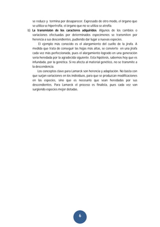 6
se reduce y termina por desaparecer. Expresado de otro modo, el órgano que
se utiliza se hipertrofia, el órgano que no se utiliza se atrofia.
b) La transmisión de los caracteres adquiridos. Algunos de los cambios o
variaciones efectuadas por determinados especímenes se transmiten por
herencia a sus descendientes, pudiendo dar lugar a nuevas especies.
El ejemplo más conocido es el alargamiento del cuello de la jirafa. A
medida que trata de conseguir las hojas más altas, se convierte en una jirafa
cada vez más perfeccionada, pues el alargamiento logrado en una generación
sería heredada por la agradecida siguiente. Esta hipótesis, sabemos hoy que es
infundada, por la genética. Si no afecta al material genético, no se transmite a
la descendencia.
Los conceptos clave para Lamarck son herencia y adaptación. No basta con
que surjan variaciones en los individuos, para que se produzcan modificaciones
en las especies, sino que es necesario que sean heredadas por sus
descendientes. Para Lamarck el proceso es finalista, pues cada vez van
surgiendo especies mejor dotadas.
 
